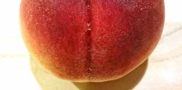 【食べるのが意外と面倒…】誰でもできる、簡単な桃の剥き方・切り方