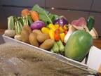 旬の野菜で食卓を彩る♡野菜宅配サービス〔ココノミ〕がサービス開始！