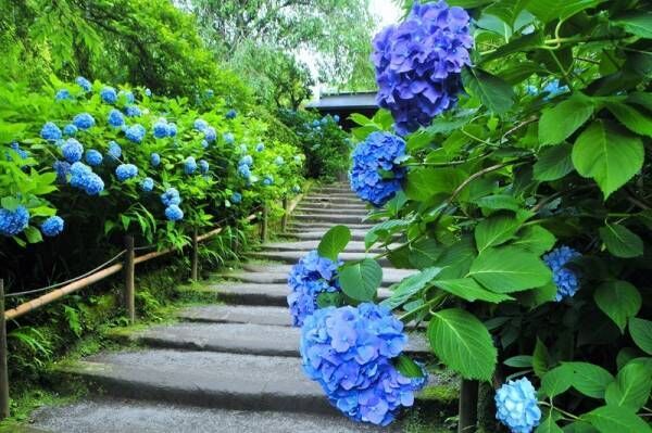 梅雨は外壁塗装に不向き？雨の多い時期に外壁塗装をする際はココに注意！