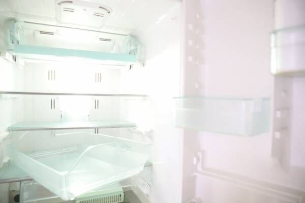 年末大掃除の第一歩！冷蔵庫収納は100均グッズで見やすくキレイに整えよう