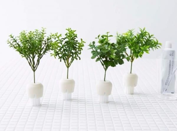 観葉植物!? いいえ、お掃除ブラシです。 水まわりをグリーンでクリーンにする「小さな森のボタニカルブラシ」