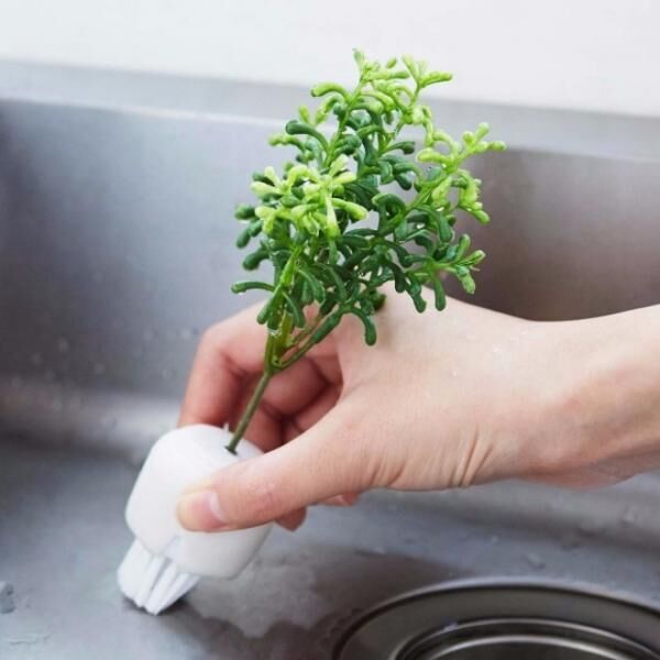 観葉植物!? いいえ、お掃除ブラシです。 水まわりをグリーンでクリーンにする「小さな森のボタニカルブラシ」