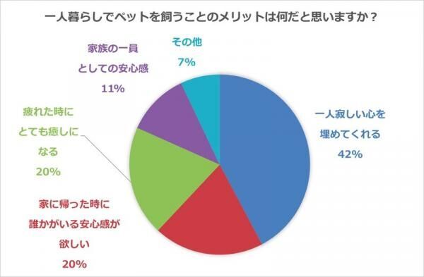 疲れた時の癒しとお世話の大変さ……一人暮らしの楽しくも大変なペット事情