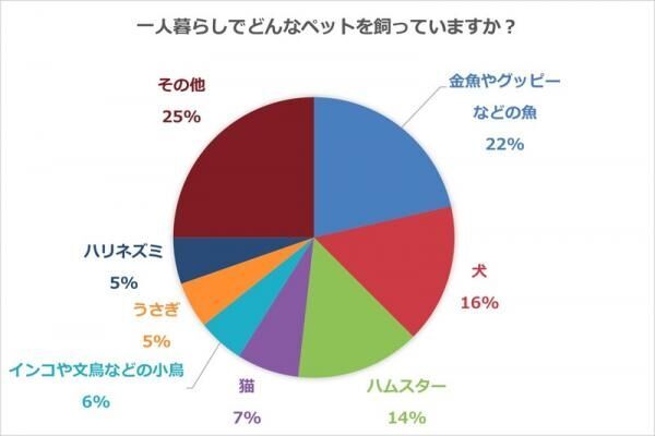 疲れた時の癒しとお世話の大変さ……一人暮らしの楽しくも大変なペット事情