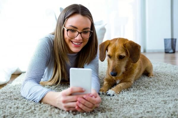 ペットを飼う際にチェック！一人暮らしでも飼育できるおすすめペットをご紹介