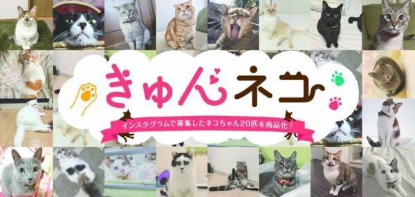 【3COINS】愛くるしい表情のネコちゃん達がモデル、「きゅんネコ」グッズが新登場♡
