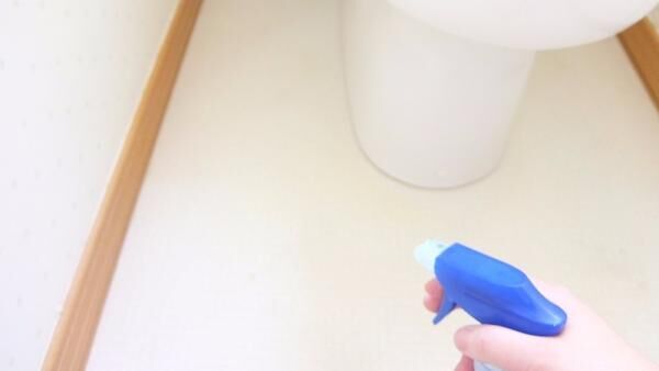 トイレ掃除のポイントを解説！日ごろのお手入れから徹底掃除まで