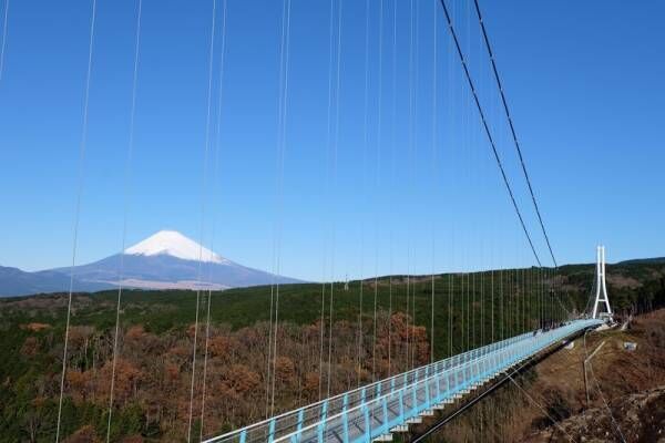 富士山を観に行こう！空気が澄みわたる冬だから楽しめる、おすすめバスツアーを紹介