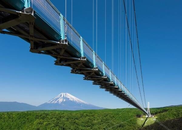 富士山を観に行こう！空気が澄みわたる冬だから楽しめる、おすすめバスツアーを紹介