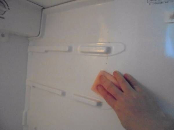 せっかくの料理が台無しに…冷蔵庫のあの嫌なニオイを撃退する方法