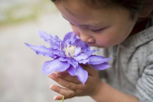 生活に香りをプラスしてリフレッシュ♪〔キャライノベイト〕の専門家に聞くアロマのイロハ