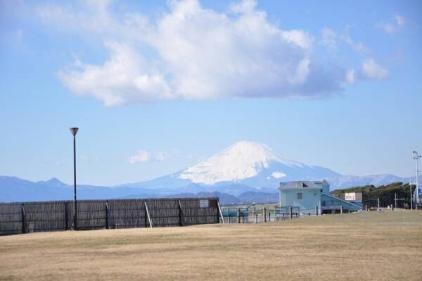 【お散歩シリーズ#4】海と富士山が見える街「江ノ島・鵠沼海岸」でローカル気分を味わおう