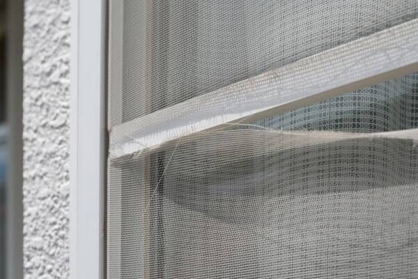 面倒な窓掃除のやり方が知りたい！窓ガラス、サッシ、網戸をピカピカにお掃除するアイデア