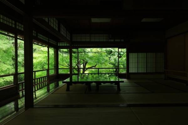【限定プラン】特別公開の京都・瑠璃光院でロマンティックな青もみじライトアップ
