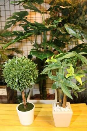 日本初の人工観葉植物専門店〔アートプラント〕で、インテリアグリーンの最新トレンドをチェック！