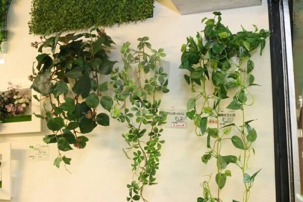 日本初の人工観葉植物専門店〔アートプラント〕で、インテリアグリーンの最新トレンドをチェック！