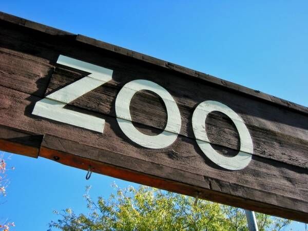 ズーラシアや東武動物公園など関東の動物園を4選で紹介！