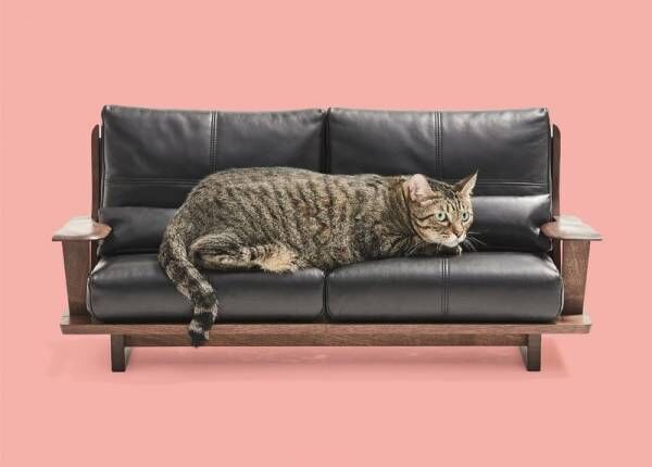 大川市の職人が本気でつくった《ネコ家具》が凄すぎる！匠の技が光る、ネコ専用のソファやベッドの製作秘話に迫る