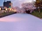 人生で一度は訪れたい！日本の「桜の名所」とおすすめお宿5選