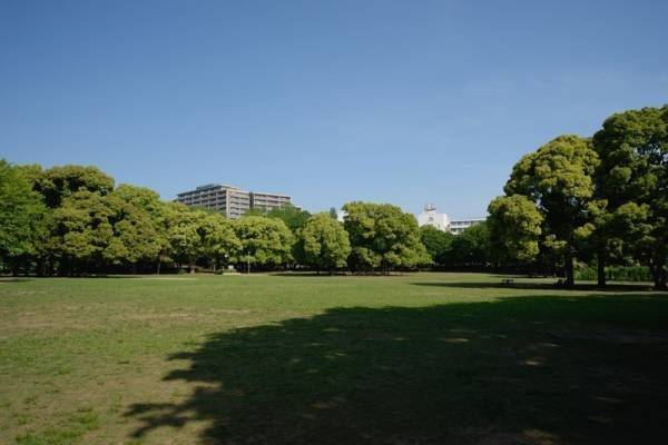 千葉の公園でピクニック♪休日を満喫できる素敵なスポットを紹介！