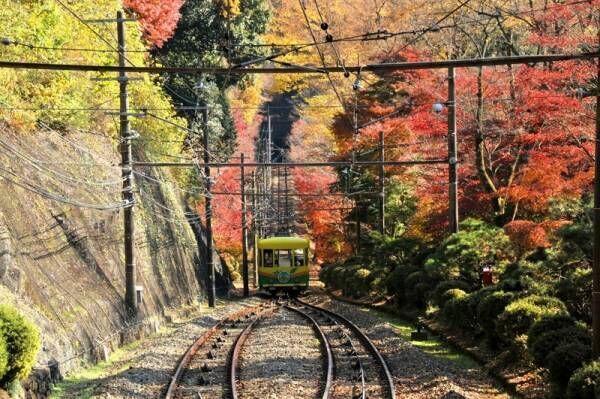 【関東】初心者でも挑戦しやすい♪紅葉が楽しめるハイキングスポット