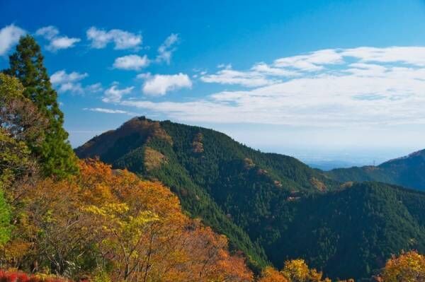 【関東】初心者でも挑戦しやすい♪紅葉が楽しめるハイキングスポット
