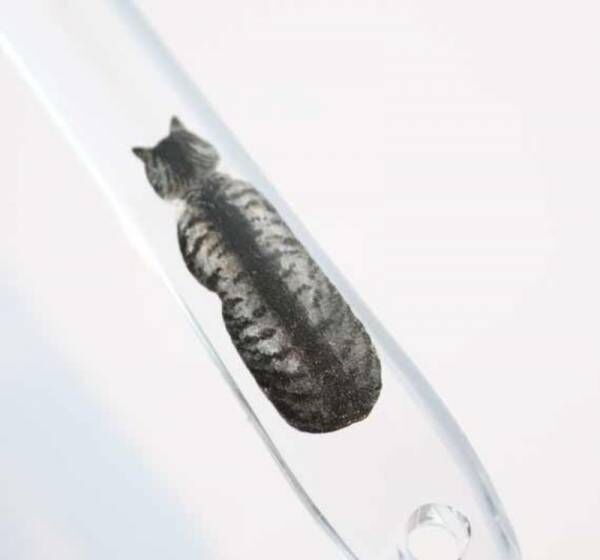 表から見ても裏から見てもかわいい♪猫あるあるを詰め込んだ歯ブラシが『フェリシモ猫部™』から新登場