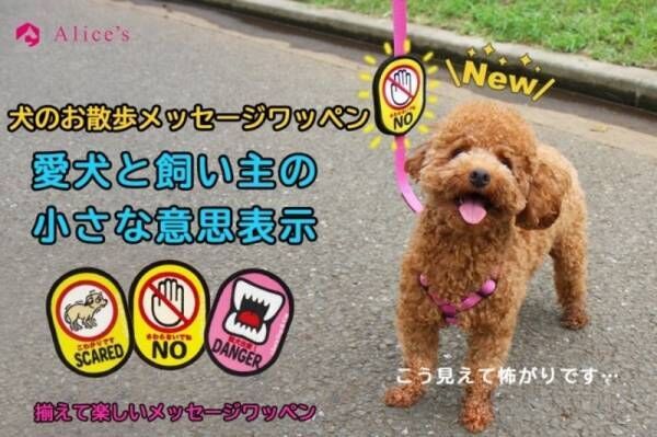 【日本初】犬の飼い主様のお散歩の時の不安の声に応えた新商品『犬のお散歩メッセージワッペン』1月22日新発売