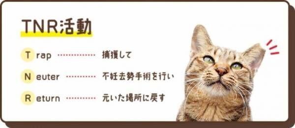 地域猫活動を応援するチャリティーグッズが今年も登場。『フェリシモ猫部™』から2月22日「猫の日」に発売開始。