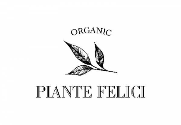イタリアのオーガニック認証取得「高品質・低価格」の本格ヘアケア〈PIANTE FELICI〉デビュー