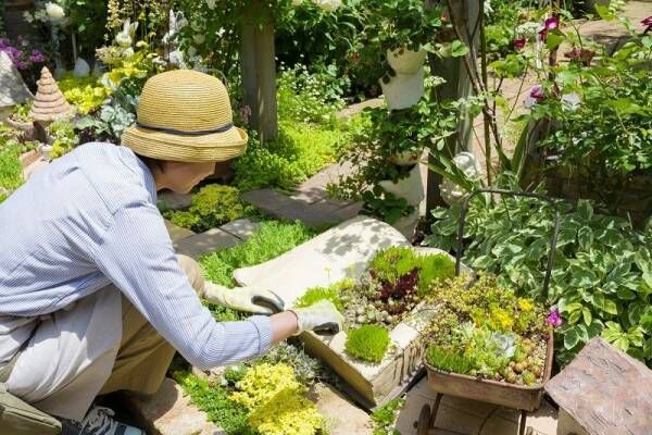 【DIY】雑草対策できる「赤シラス」をお得にゲット！お庭で過ごす時間を豊かにしよう！