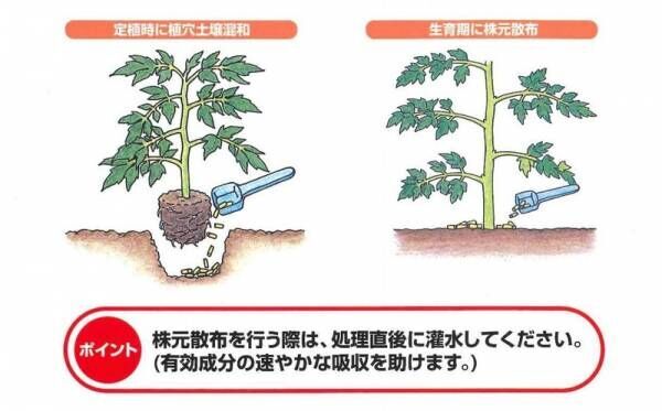 ガーデニングを始めるならいま！初心者にオススメなアイデア7選