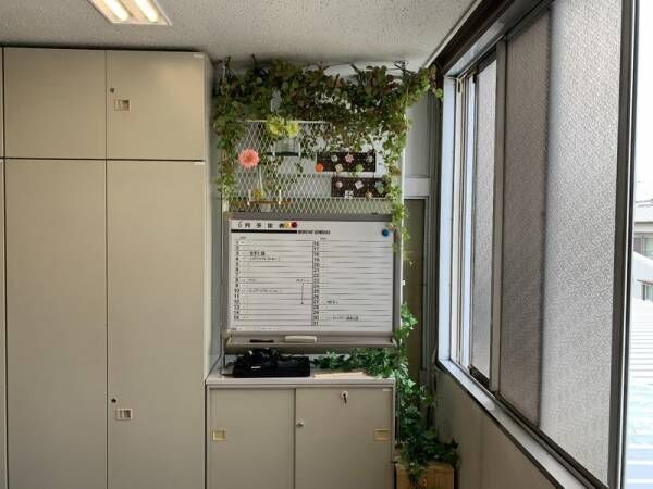 DIYでオフィスに緑を増やしてみた！