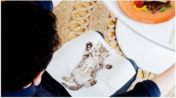 いつでも猫ちゃんと一緒にディナー！キレイに使いたくなる可愛い猫がプリントされたナプキン。