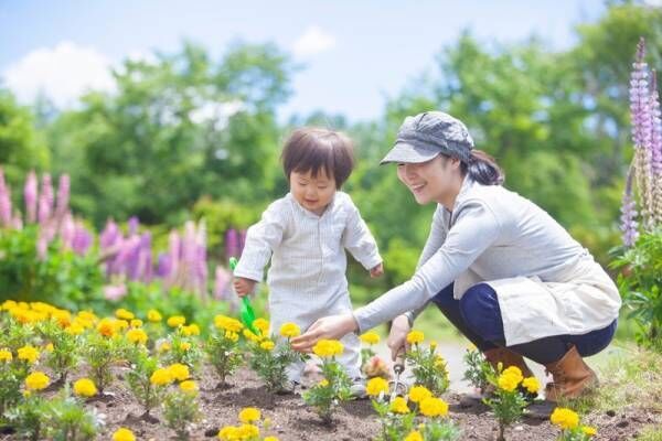 ギャー気持ち悪い、とサヨナラ