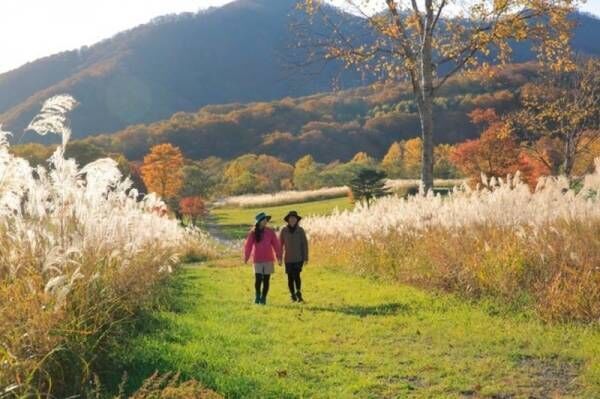 標高1,040mの国立公園で楽しむピクニック　おそとランチで大自然を満喫出来るプラン販売開始