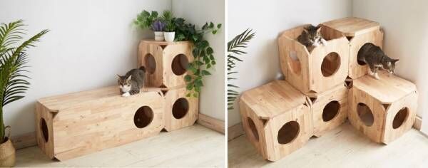 ディノスより、猫の飼い主のお悩みを解決する家具を新発売