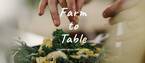 食材から育てるというあたらしい暮らし“Farm to Table”を実現するサービスがスタート