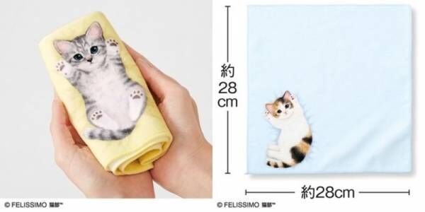 並べると子猫の「くっつき寝」が再現できる！　「子猫がへそ天でごろ～ん タオルハンカチ」が「フェリシモ猫部™」から新登場