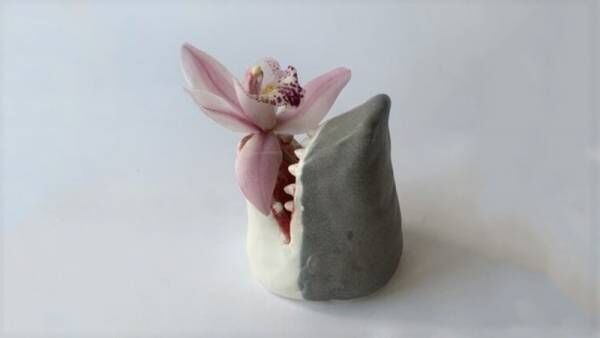 【サメの口に花を飾る！】花瓶や食器など陶器製のサメのデザイングッズがヴィレッジヴァンガードオンラインに新登場！