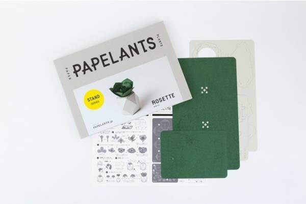 全て紙でできた、新しいカタチの植物たち「PAPELANTS（パペランツ）」新発売！