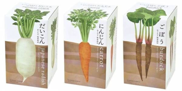 【ロフト】おうちで手軽に野菜や植物を育てる！栽培セット集積