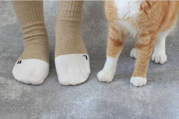 猫が爪を隠している手足をイメージして編み上げた猫好きにはたまらない猫助けできる靴下が登場！