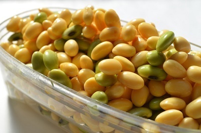 大豆イソフラボンの新事実！ ４人に３人は摂っても意味がなかった!?