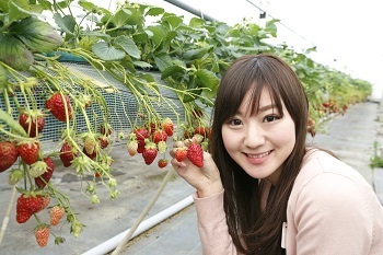 オール1万円以下！ お得な日帰りバスツアーで“女子旅”しよう