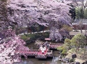 桜を愛でながら運気もアップ 開運ご利益お花見スポット3 15年3月28日 ウーマンエキサイト 1 4