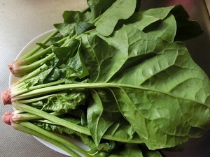 ストレスなしでダイエットが可能!? 食欲をコントロールできる「チラコイド」とは？