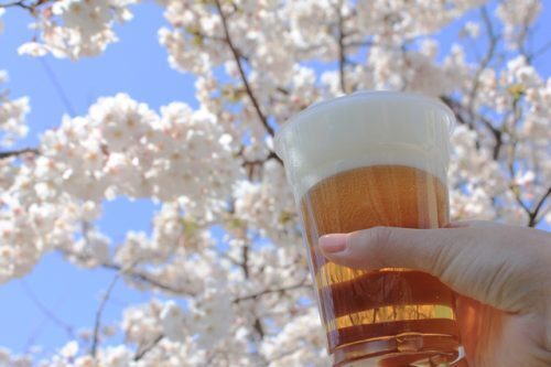 花見中にお酒を飲んでうとうと…道端で就寝したら違法ってホント？