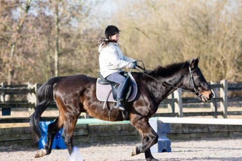 馬で道路を走りたい…現代でも可能ってホント？
