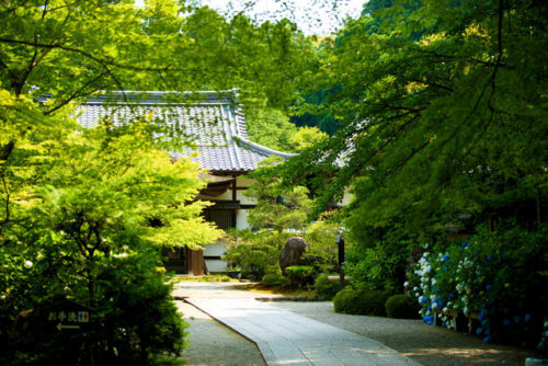 寺院が税金を納めなくてもいい理由を弁護士に聞いてみた！